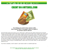 Tablet Screenshot of creditinanutshell.com